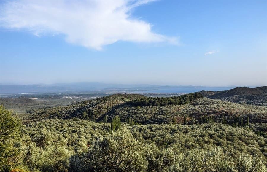 wapluss's tweet photo. Binlerce insan Kaz Dağları’na yürüyor. Nöbet başladı!
#KazdağlarıHepimizin #KazdağınaDokunma 

https://t.co/XglrTc55EF https://t.co/xKiUqI0LdX