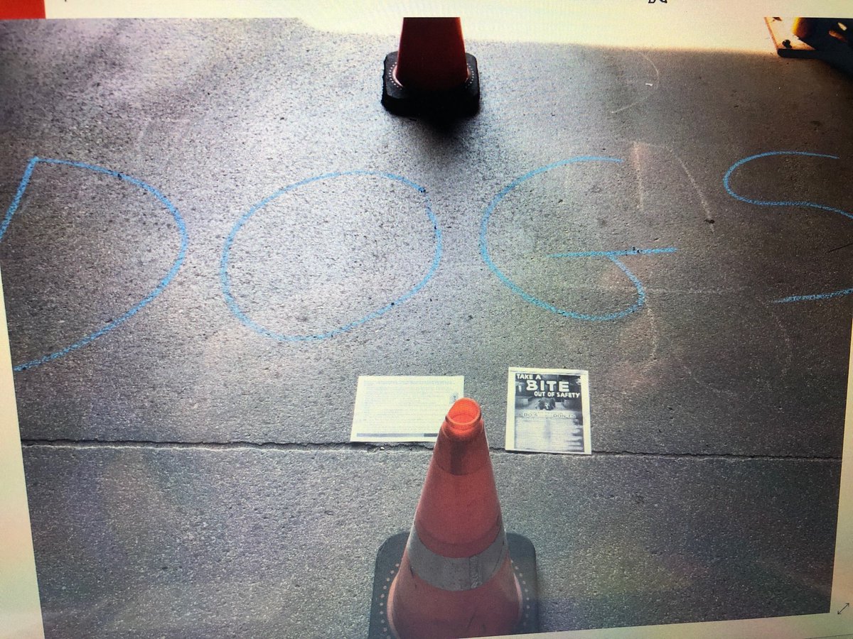 Portland ME center manager Rich Clement supports his Saturday team and reviews the dog bite prevention methods. #NEDprimetime