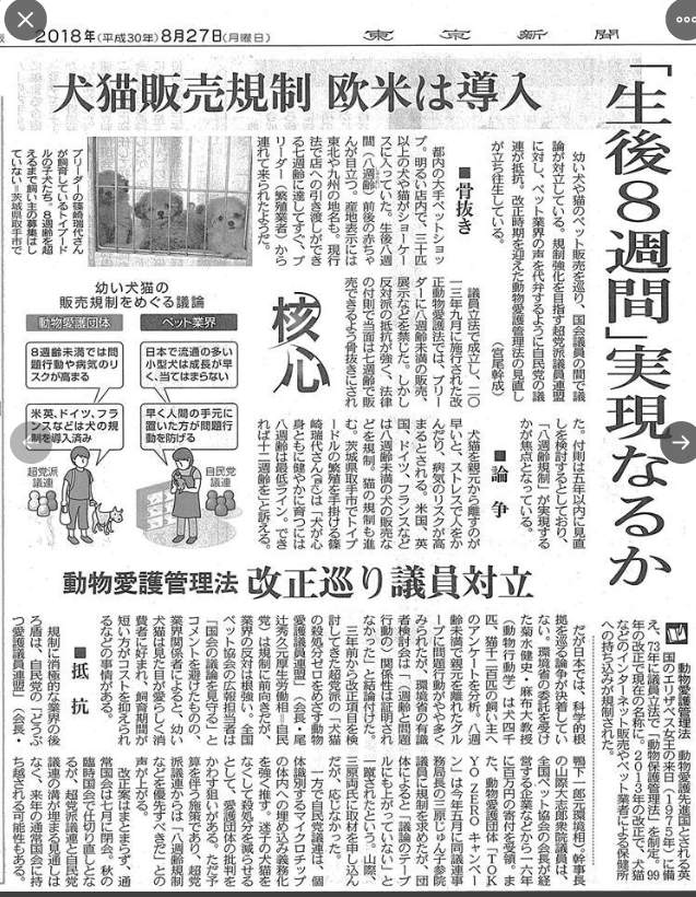 8週齢 8週齢