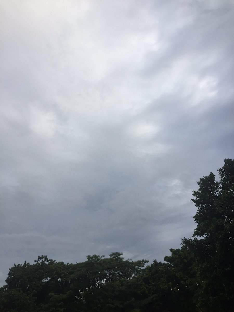 bright__Sky12 tweet media
