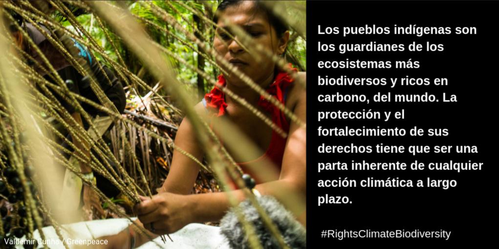 henoi_py's tweet image. 1/1 Los estudios de caso de @CLARA_Alliacne enfatizan que para un futuro sostenible hay que: 1) tener un enfoque basado en los derechos de PI y comunidades...
#SRCCL #LandReport #MissingPathways #RightsClimateBiodiversity
#NatureBasedSolutions #CommunityConservation