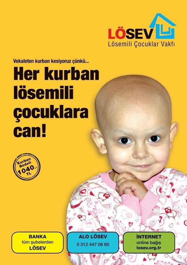 İlber Ortaylı (@ilberortayligsu) on Twitter photo 