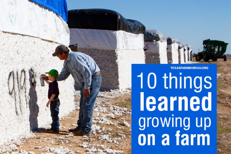 Julie Vrazel Tomascik (@julietomascik) on Twitter photo Kids learn a lot growing up on the farm. Like…
-there are no excuses
-the value of a dollar
-all the uses for duct tape
See the top 10 list in my blog for @texasfarmbureau: txfb.us/TTT073019
Farm kid life really is the best life! Kids learn a lot growing up on the farm. Like…
-there are no excuses
-the value of a dollar
-all the uses for duct tape
See the top 10 list in my blog for @texasfarmbureau: txfb.us/TTT073019
Farm kid life really is the best life!