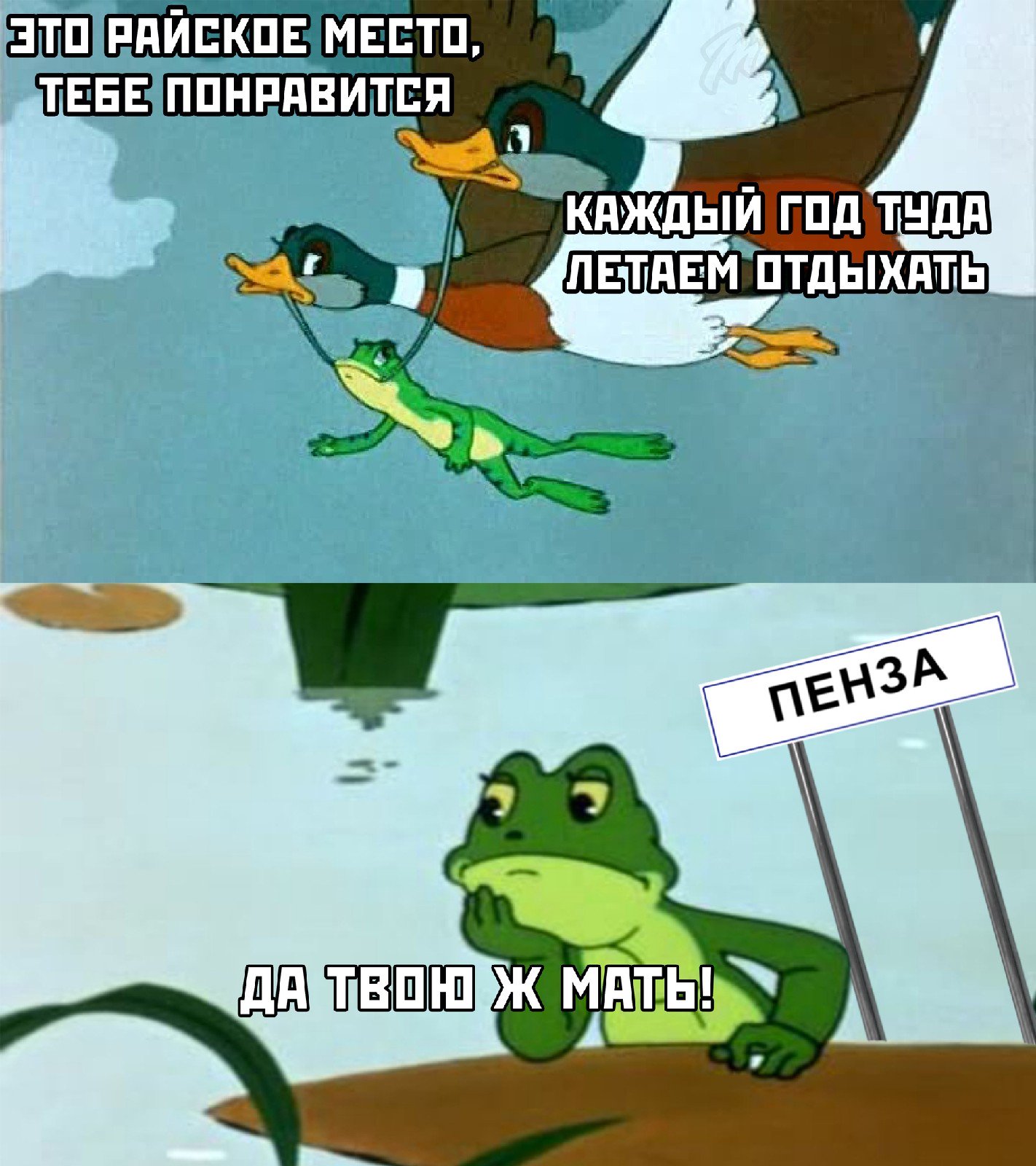 Лягушка путешественница Мем