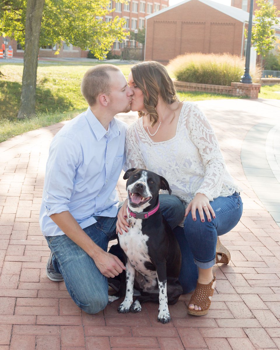 FrederickWeddings tweet media