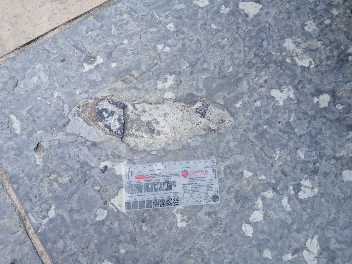 DeepWaterHWU's tweet photo. Our research group enjoyed a sunny Saturday in #Edinburgh with Luis Albornoz-Parra, #building #stone expert at @BritGeoSurvey , #learning about #stonematching with a nice touch of #history. Also, visiting the spectacular fish #fossils near the @NtlMuseumsScot https://t.co/5x24XhjwwH