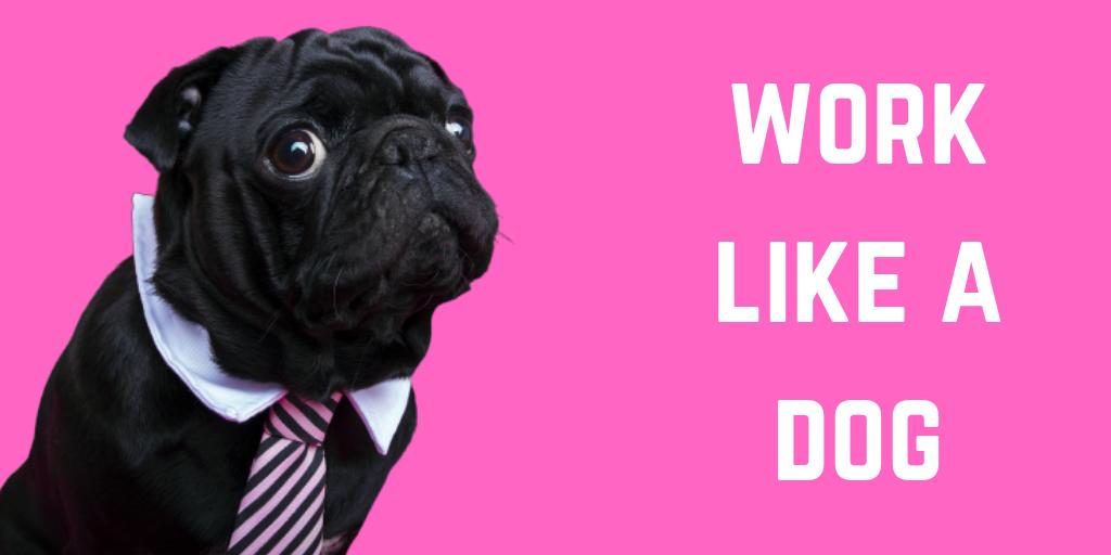 DatingAppPod's tweet image. Let's remember on #WorkLikeADogDay that it can get pretty grrruff to work so much you burn yourself out. Check out Part 2 of our #DragonSlayer mini-series to find out why! bit.ly/2Y9iwvY

#HTBADA #datingapps #worklife #dragonsden @wardrox
