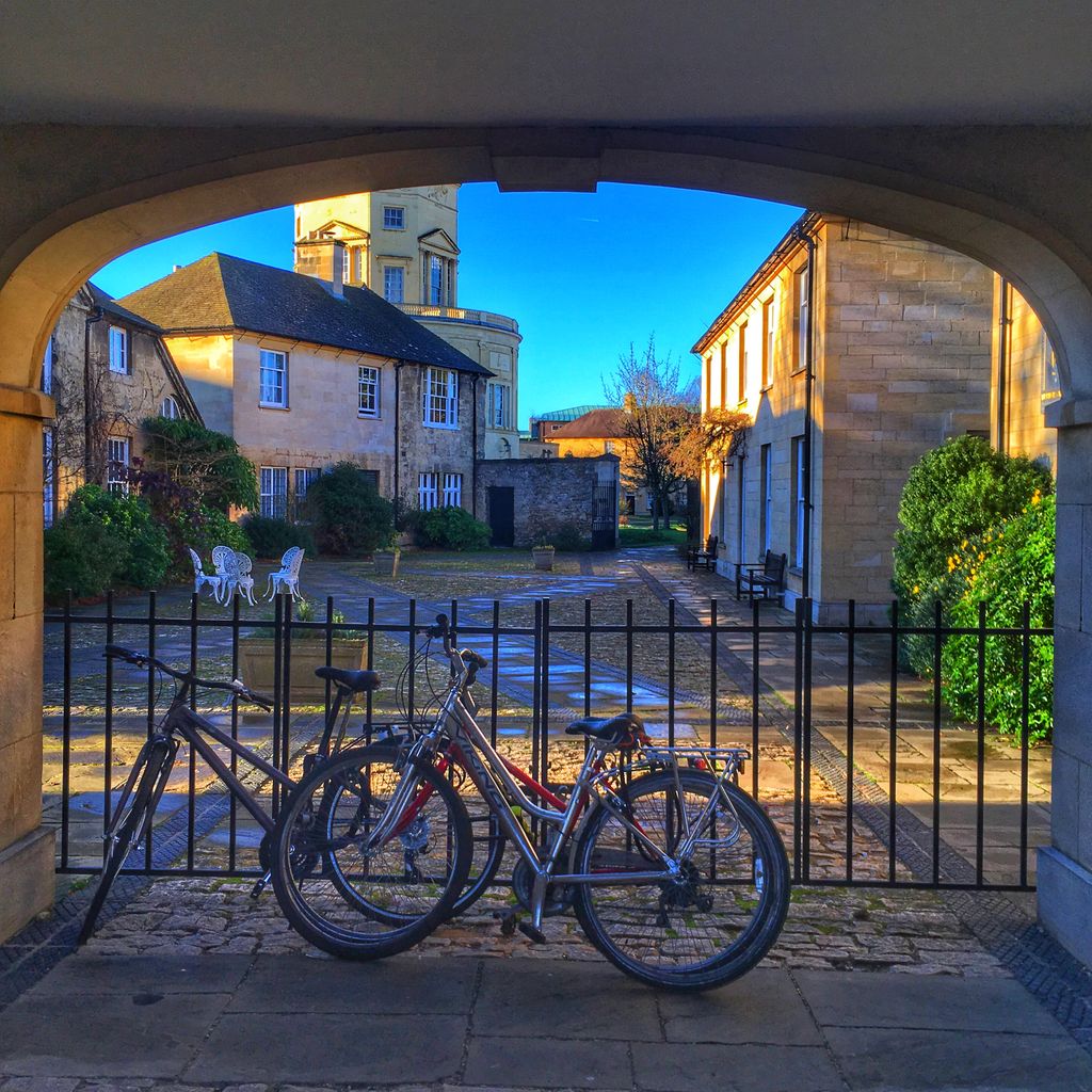 shop universities the economy routledge studies in business