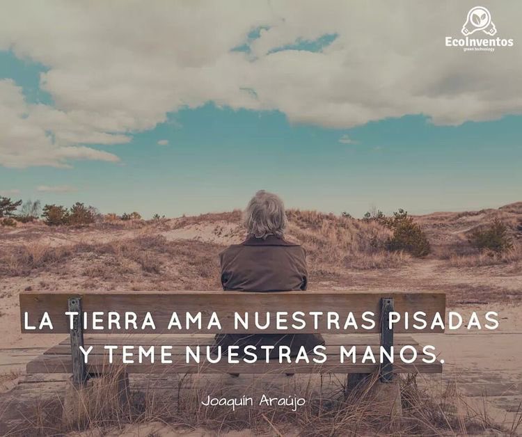 La tierra ama nuestras pisadas y teme nuestras manos. 
¡Feliz inicio de semana! 
#CuidemosLaTierra #FradeDelDia #BuenosDias