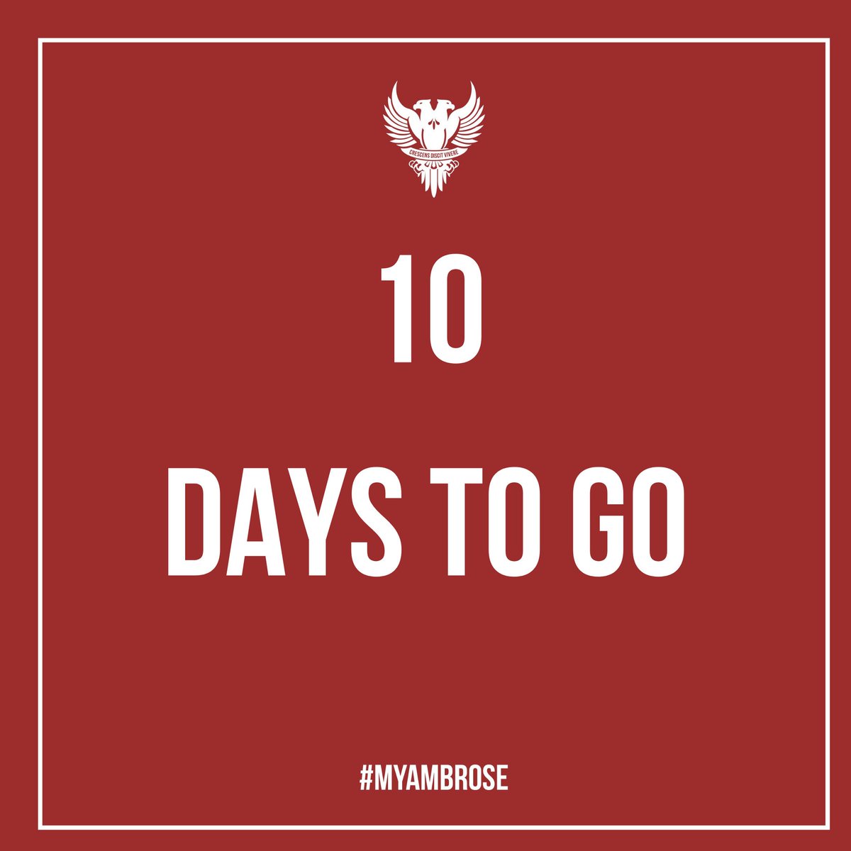 Just 10 Days to go until results day!! We will be open and waiting for you all from 8am. 
#alevelresultsday #alevels #resultsday #ucas #Clearing2019 #clearinghotline #exams #myambrose