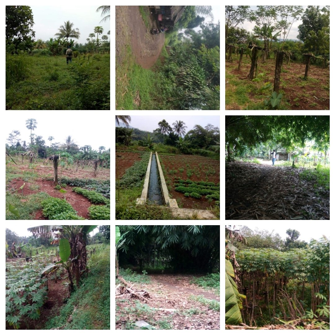 herman_property's tweet photo. 🆕DI JUAL TANAH DI RUMPIN BOGOR
==========================
🔴_*Lokasi* : jln setu cibodas Rumpin
✅ Lokasi Strategis &amp; Premium
✅ Peruntukkan : Komersil (R7).
✅_*LT : 18,413
✅ Legalitas :_4buku SHM
✅ Harga_500 Ribu/m
✅ Jalur : Direct owner
INFO  
☎ .  081386324452 ☎ https://t.co/TNxwGd1UAI