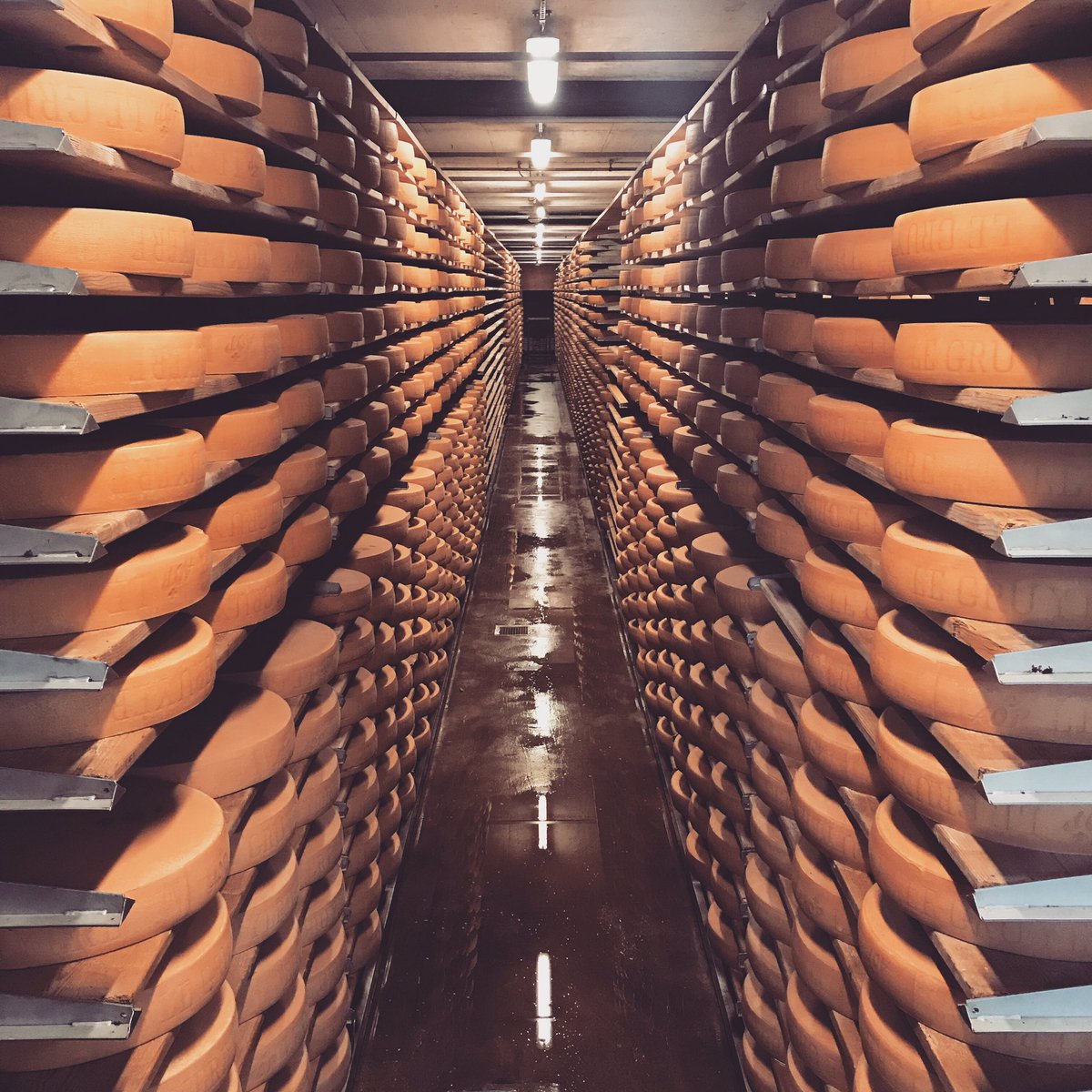 Cheese cheese and more cheese <a href="/La_Gruyere/">Naomi La Gruyère</a> #cheese 🧀🧀🧀