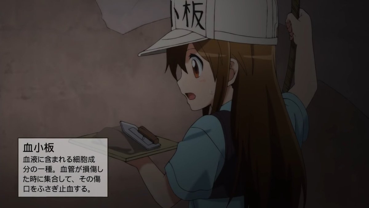 長縄まりあ第24回生誕祭19年8月5日お祝いの言葉まとめ へぃ 長縄まりあ生誕祭 長縄まりあ生誕祭19 4ページ目 Togetter 長縄まりあ第24回生誕祭19年8月5日お祝いの言葉まとめ へぃ 長縄まりあ生誕祭 長縄まりあ生誕祭19 4ページ目 Togetter