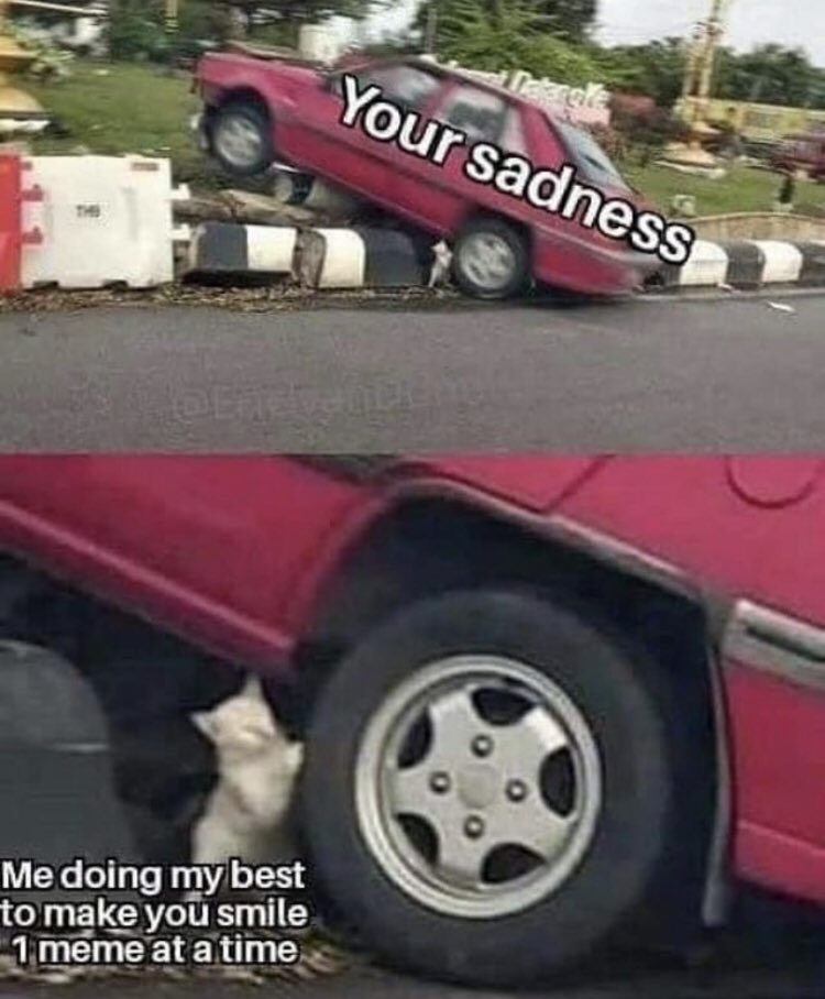 Respectful Memes tweet media