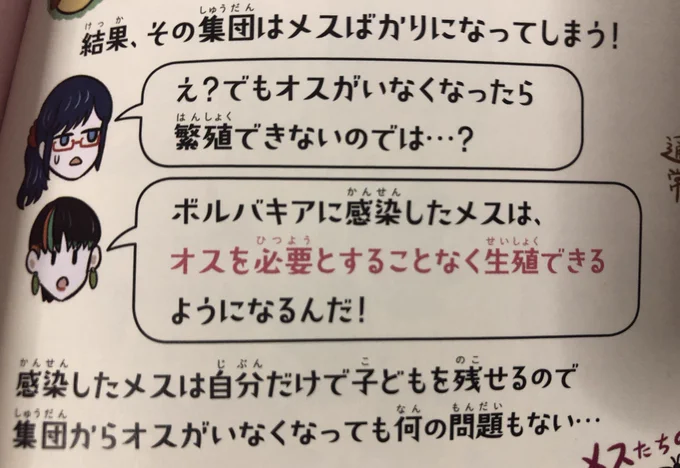 問題ない #ふしぎな昆虫大研究 