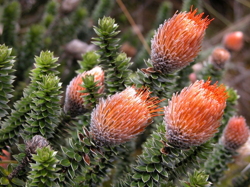 MoBot Research Dept. tweet media