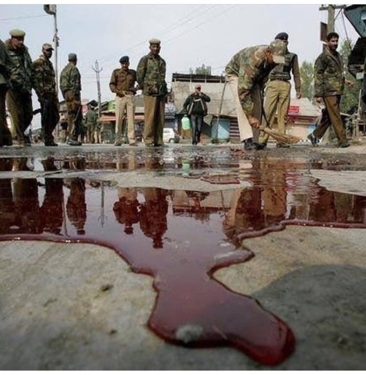 #kashmirbleeds #Europe #unitedstates #motherearth #humans #bloodofinnocent #StopTheHate