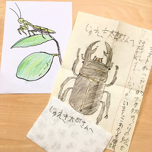 塗り絵と手紙を受け取りました。ありがとうございます🐞。 