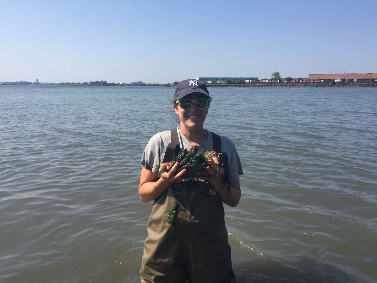 NYNJBaykeeper's tweet image. They say the world is your oyster. But here at NY/NJ Baykeeper, we say that #oysters are our world! We're obsessed with these bivalves &amp;amp; for good reason! Oysters protect our coastlines against erosion, are natural water filters &amp;amp; add habitat for marine life! #NationalOysterDay
