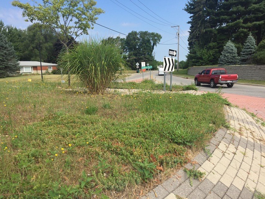 Those who have complained about shoddy landscaping at St. Joseph County roundabouts will soon have a chance to do something about it.  The county will soon unveil an "Adopt a Spot/Road" program designed to tap the talents of green thumbed do-gooders.