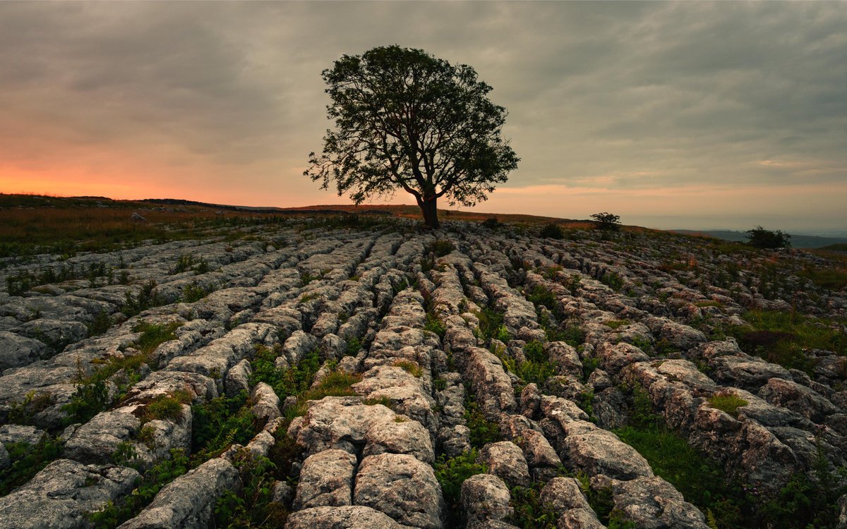 NorthernLensUK's tweet photo. Haven’t done one of these for ages. Sunrise from the Yorkshire Dales  #WexMondays #fsprintmonday https://t.co/G0zBaCkwrH