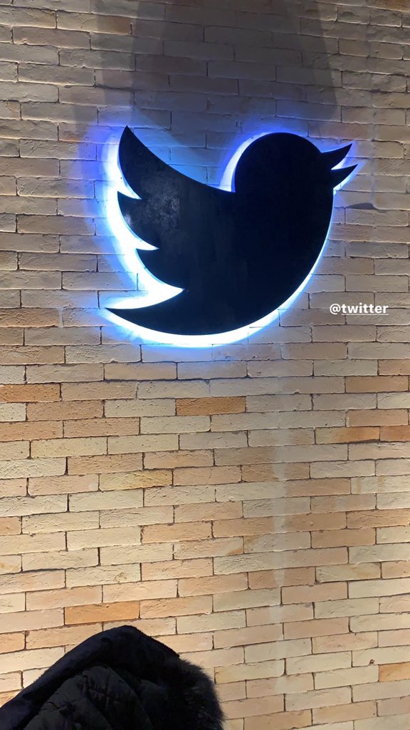 Mario Camelo tweet media