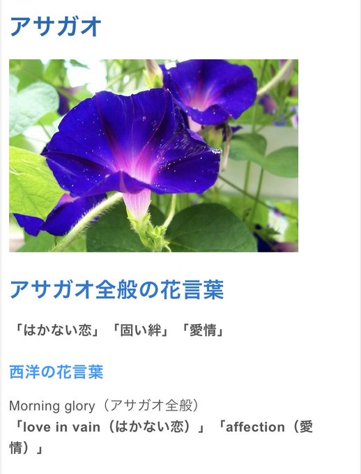 誕生花のtwitterイラスト検索結果 古い順 誕生花のtwitterイラスト検索結果 古い順
