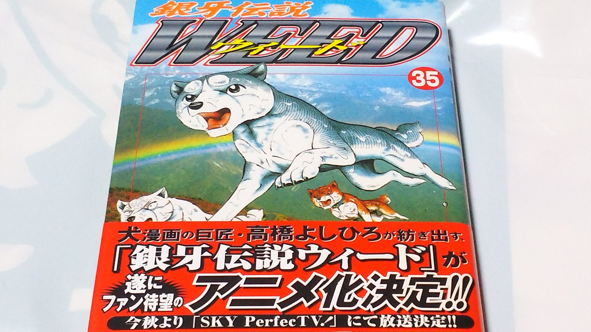 中原伸明 銀牙伝説weed 銀牙 銀牙伝説weed 第３５巻 表紙カバーの表と裏です 当時ついていた帯の表と裏です 帯なしの表紙カバー 背表紙には 佐平治 この頃に やっとウィードのアニメ化の告知が 帯でされています アニメを見るため