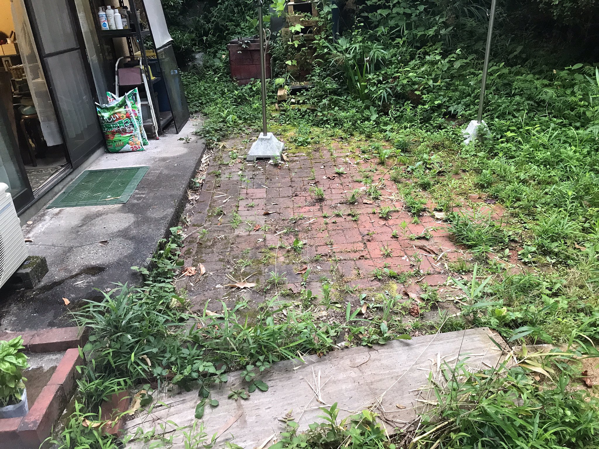 水木由真 まがいの器 全1巻発売中 V Twitter おはは 今日は庭の煉瓦敷あたりの草むしり でもお腹痛日なのでちょっとかも 今日はブルベルバナナヨーグルトドリンク 見た目アレなんだけどむちゃうまいのです 虫除けスプレーすぐ無くなってしまうのでカトリスを 水木由真 まがいの器 全1巻発売中 V Twitter おはは 今日は庭の煉瓦敷あたりの草むしり でもお腹痛日なのでちょっとかも 今日はブルベルバナナヨーグルトドリンク 見た目アレなんだけどむちゃうまいのです 虫除けスプレーすぐ無くなってしまうのでカトリスを