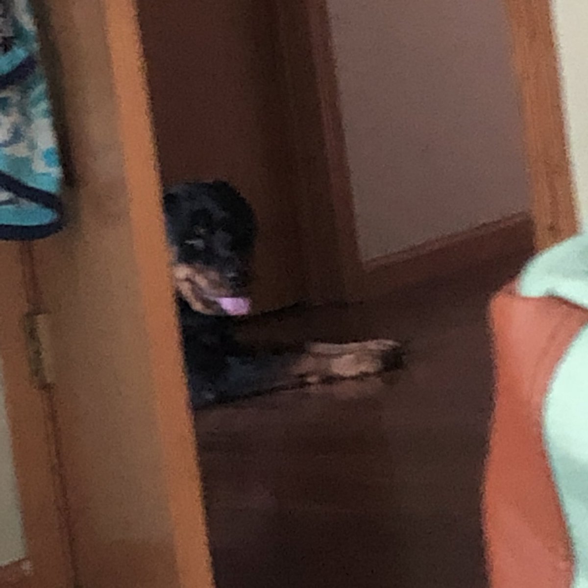 himbofication's tweet photo. #celiaupdate she wont come into my room https://t.co/uuSc9vm2v5