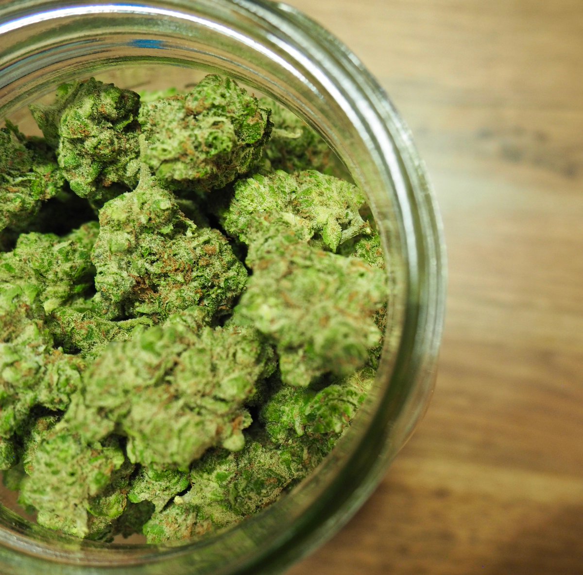 ascendcannabis's tweet photo. Try a new #strain that you have never had before at Ascend this week. You just might find a new favorite. 😊

#cannabis #notill #growersfirst https://t.co/E0r3qS99Nh