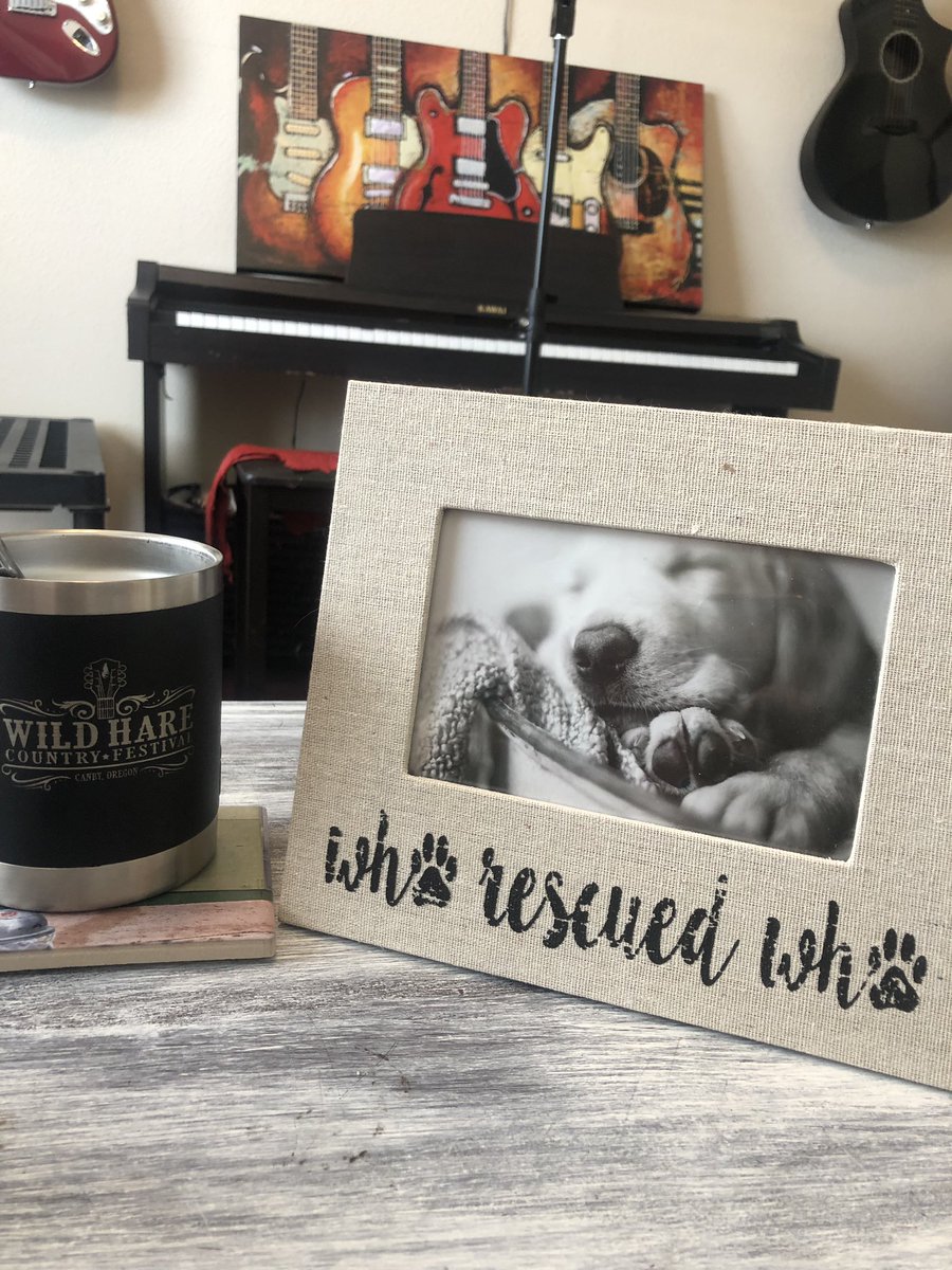 BriBagwell's tweet photo. I downloaded this pic to put in my new frame from my bestie @TiffanyHerbst, and thought I'd share it with y'all. Happy Monday! 📸: @jordanfischels #dogmom #rescuedog #whorescuedwho  #chihuahuasofinstagram #whiskey #whiskeygirl #roseale https://t.co/ChHpegmCNx