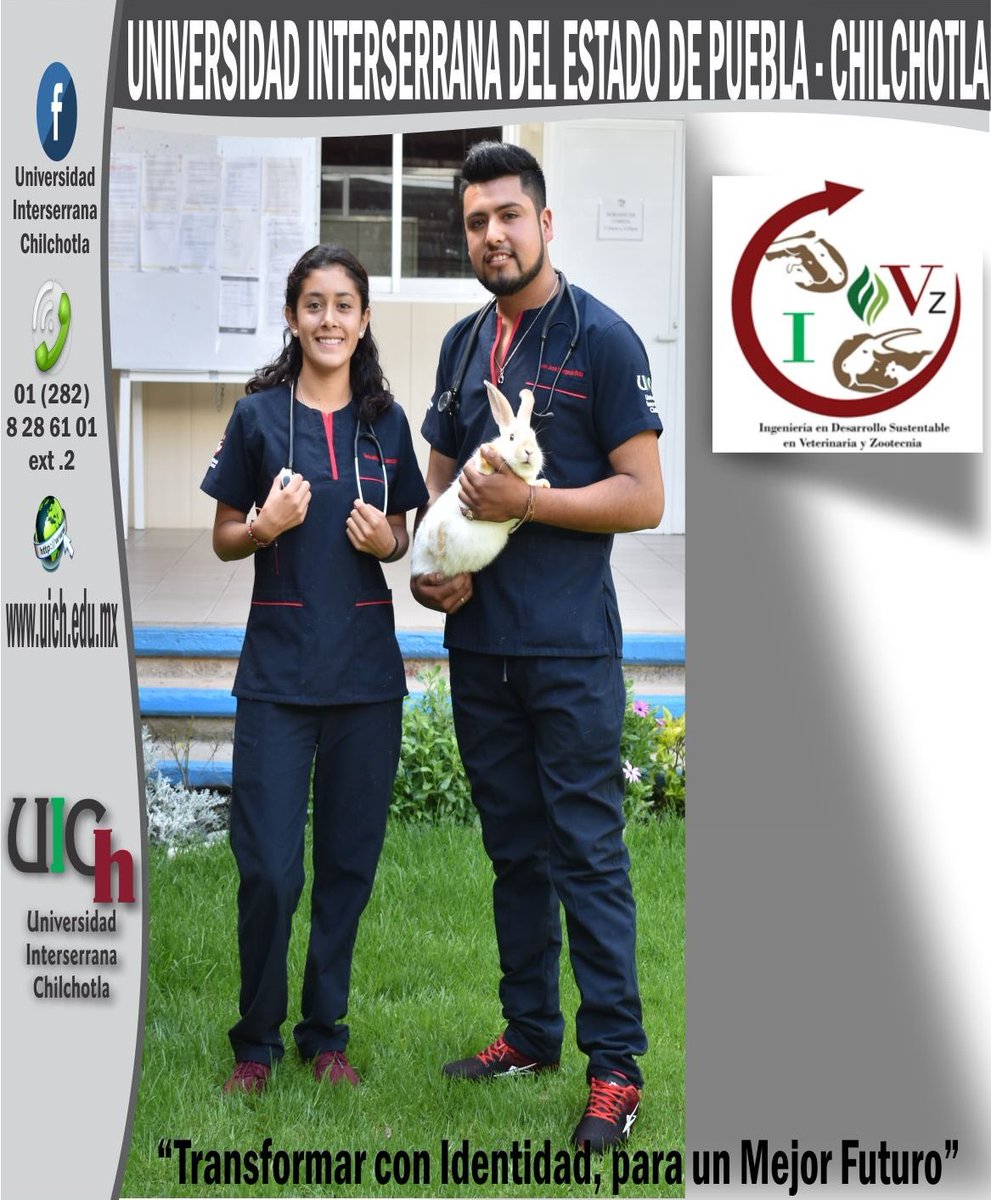 UIChOficial's tweet photo. ¡Cuidada, maneja y prevé enfermedades en los animales!

Estudia #Ingeniería en #DesarrolloSustentableconOrientación en #VeterinariayZootecnia 🐷🐴🐕🐈🐟 en la #UICh 

Realiza el examen este 12 de agosto en punto de las 9:00 a.m.
https://t.co/j2DE6mBRwx 
#Universidad #Admisión2019 https://t.co/HyjSMh8uwe