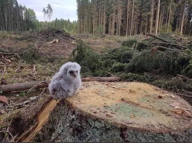 Kaz dağlarının üstü ALTINDAN daha değerlidir.

Taşı, toprağı, ağacı, denizi ve deresiyle vatan, vatandır!

"Biz, bu dünyayı atalarımızdan miras değil, çocuklarımızdan emanet aldık."

Gelişirken tabiatı korumak zorundayız.

#Kazdağınadokunma
#KazdağlarıHepimizin
#FethiyeyeSahipÇık