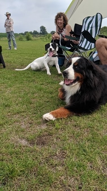 StL Storm tweet media