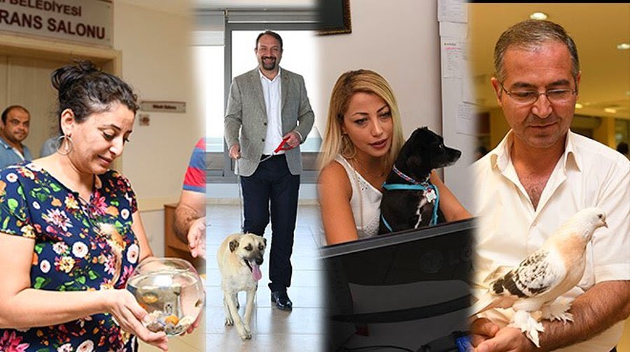 Türkiye'de bir ilk: Çiğli Belediyesi'nde çalışanlar ayda bir kez evcil hayvanlarıyla işe gelecek.Sokak hayvanları ve evcil hayvanlarla ilgili farkındalık oluşturmak amacıyla her ayın ilk cuma günü “Çiğli Belediyesi’nde Pati’li Bir Gün” etkinliği düzenliyor😻