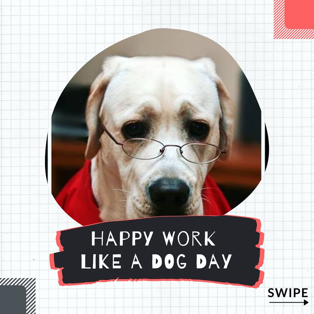 slaydelhi's tweet photo. Check out these 5 gorgeous work cafes in Delhi:

https://t.co/SD0d2h9qEC

#slaydelhi #WorkLikeADogDay #Delhi #workspace #working #work https://t.co/WQlv7ZLzbG