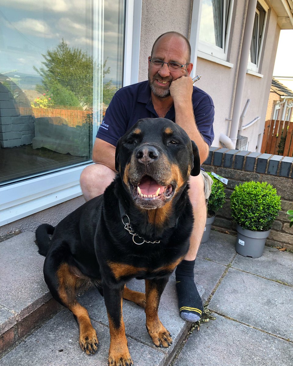 WinnieRescue's tweet photo. Human has a week of so we can sit and chill #mondaymotivation #happyasapiginshit #anxietydog #rescuedog Rottie #rottweilers_of_instagram #loverottweilers #rottielove #rescuedogsrock #pets https://t.co/L28516GQZC