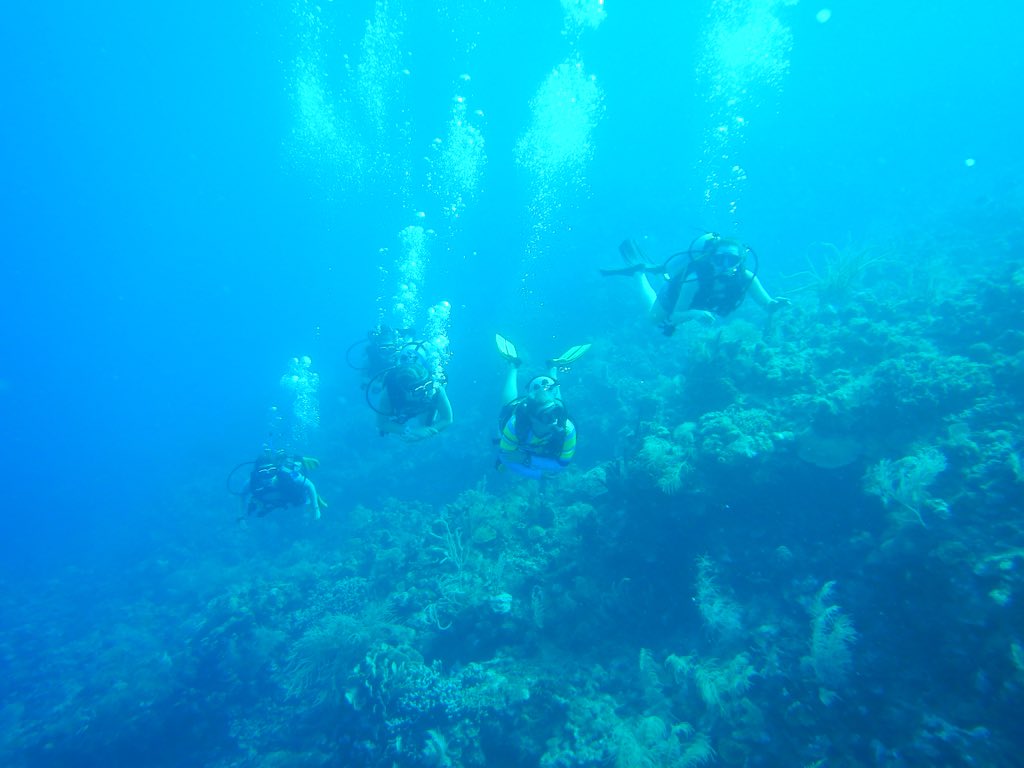 HGS_OpWall's tweet photo. The final day of the expedition - surveying the beach for micro-plastics, final qualifying dives for those training and yet more #turtles! https://t.co/T0MY2dqV1w