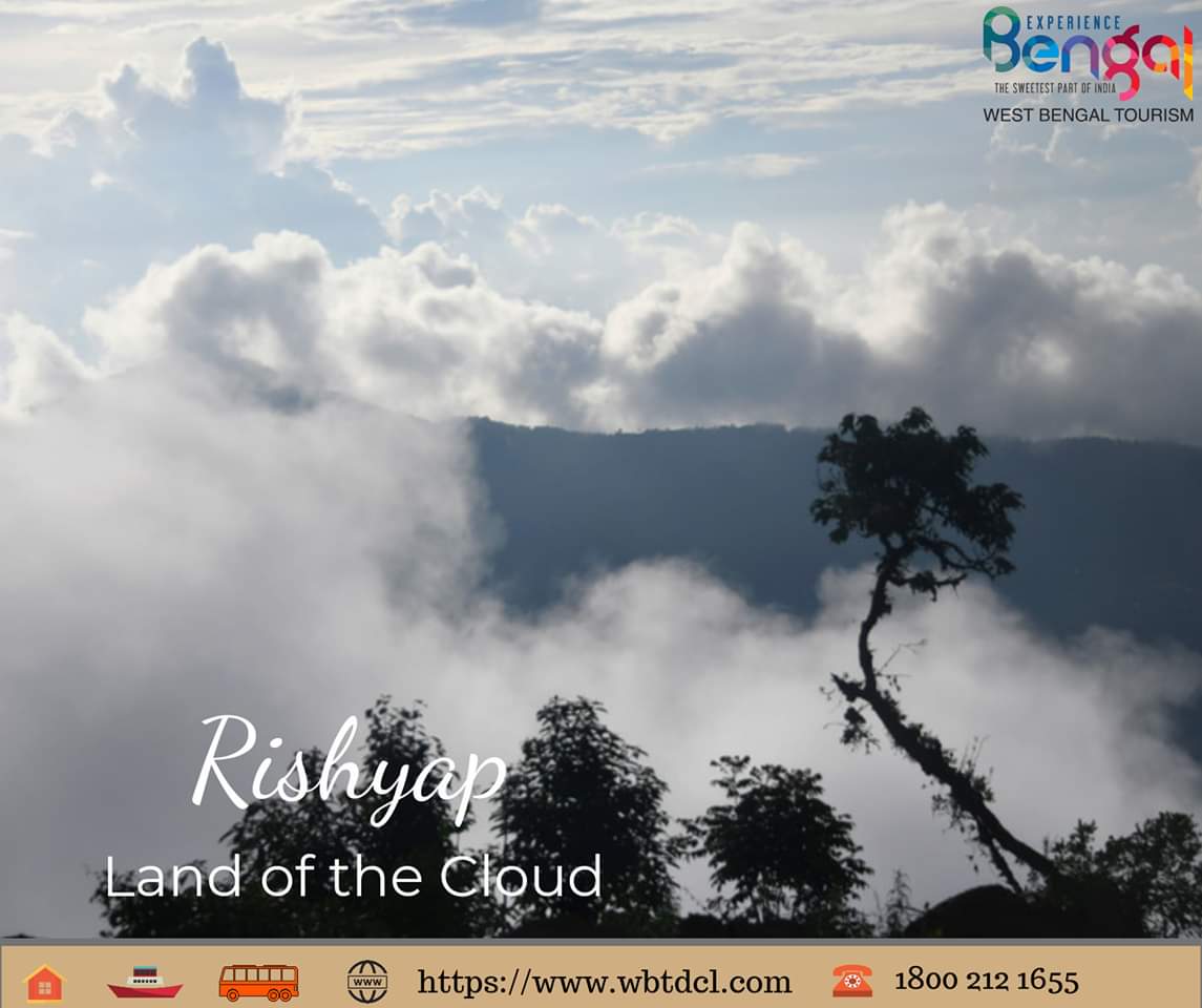wbtdcl's tweet photo. Have you been to Rishyap?
See the clouds come floating in...
Log on to https://t.co/QCSVBb19qk or call us at 1800 212 1655
#beautifulbengal #travelbengal #tourismbengal #gobengal #experiencebengal #bengalbeckons #Bengal #WBTDCL #wbtdc #Rishyap https://t.co/yra05UnoWr