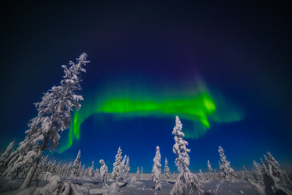 Aurora_Zone's tweet photo. Visit two of the most sought-after Northern Lights Finnish destinations in one unbelievable Christmas week >> https://t.co/kivAHOwPbF
© Markku Inkila
#Finland #Christmas #NorthernLights #Muotka #Nellim https://t.co/3YZ7Je8qmF