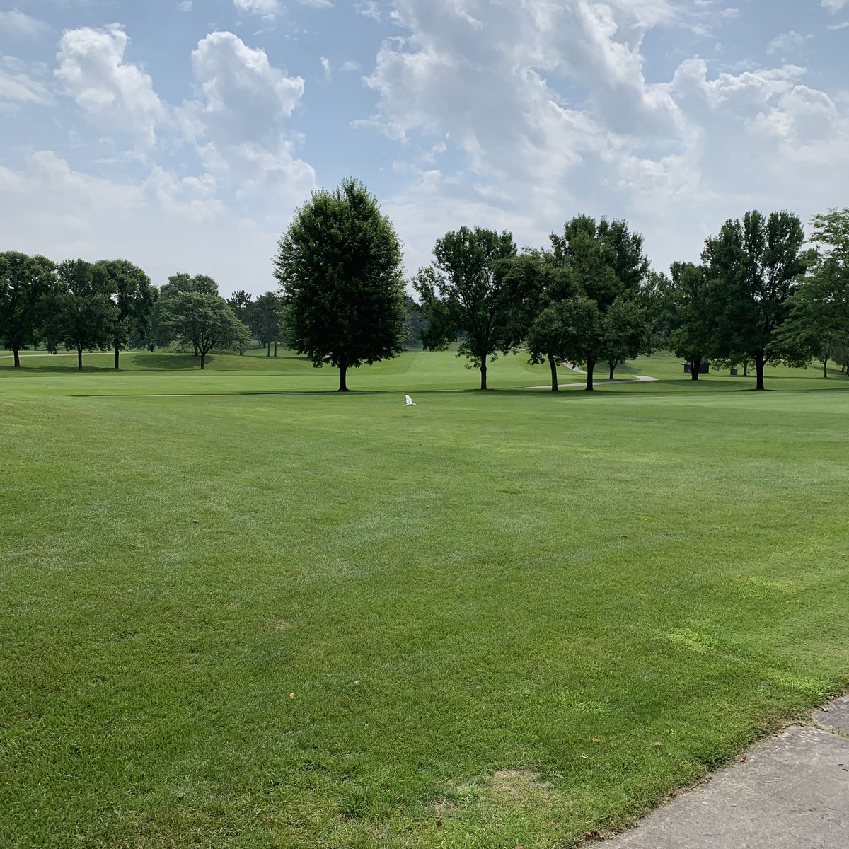 #Birdie! <a href="/OakGlenGolf/">Oak Glen</a> <a href="/NEResidence/">Northeast Residence</a> #DrivingforDreams #Golf Tournament <a href="/NERHeidiED/">@NERHeidiED</a> <a href="/NERTraciCOEC/">NERTraciCOEC</a> <a href="/NERLinQA/">NERLinQA</a> <a href="/NERBrettPD/">NERBrettPD</a>