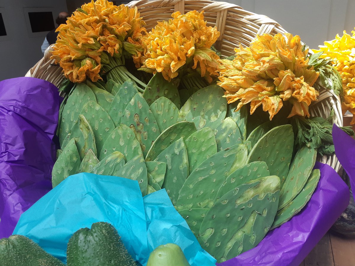 WWF_Mexico's tweet photo. La milpa es vida; es un valioso universo de biodiversidad y de  nutrición comunitaria. #DaleChamba 
https://t.co/5Yt3kriUo6 https://t.co/8jdcVo9bsw