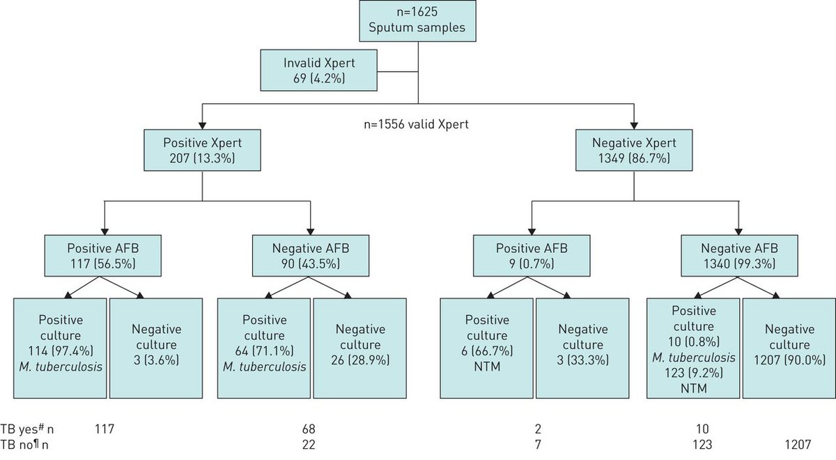 ERSpublications's tweet photo. Xpert MTB/RIF has the potential to reduce the time to diagnose TB, with high accuracy, including paucibacillary disease. It is also feasible to detect rifampicin resistance, with a high concordance with phenotypic tests and whole-genome sequencing. https://t.co/idFjptAguS https://t.co/QSon9m8lvm