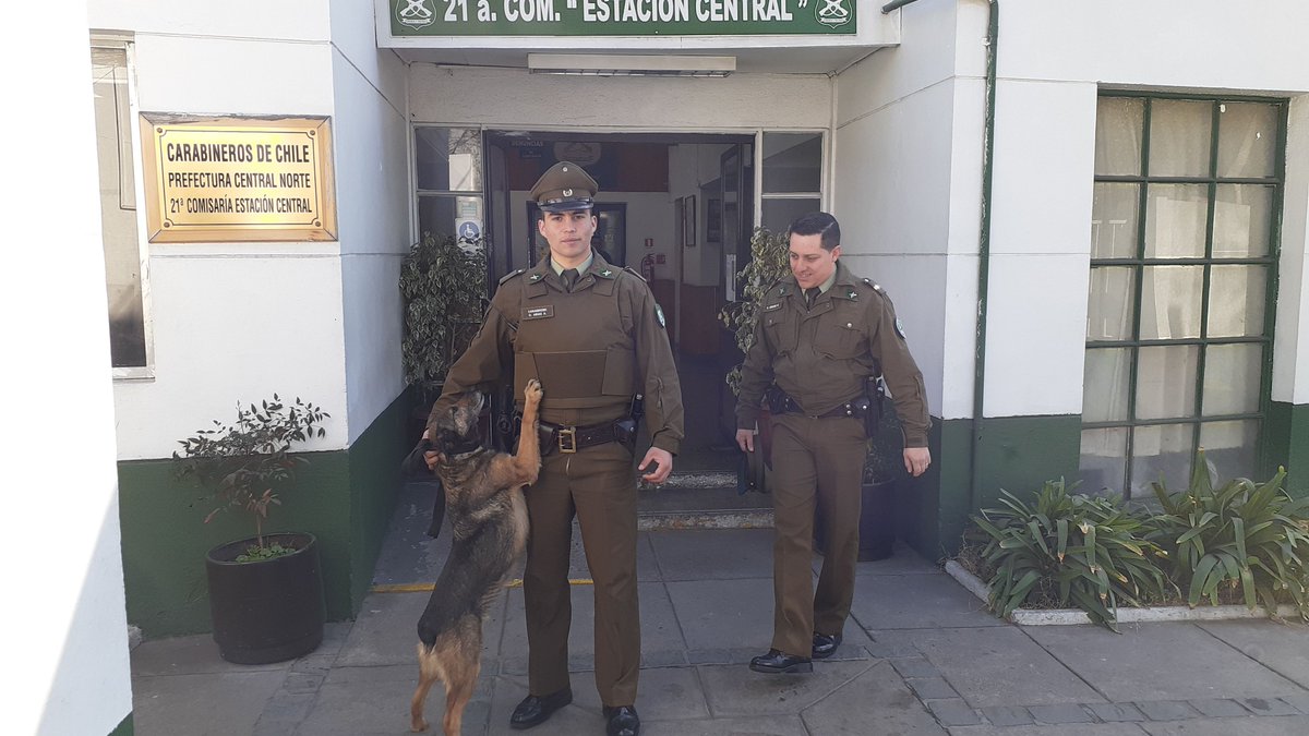 comisaria_21's tweet photo. #Estacióncentral Oficina Micc. 21° Comisaría traslada a perrita "Maltha" a su control veterinario, la que ESPERA SER ADOPTADA en Avda. Ecuador 4050 #LaPrevencionEsNuestraEsencia  #OrdenyPatria https://t.co/fXmcp2O6xK