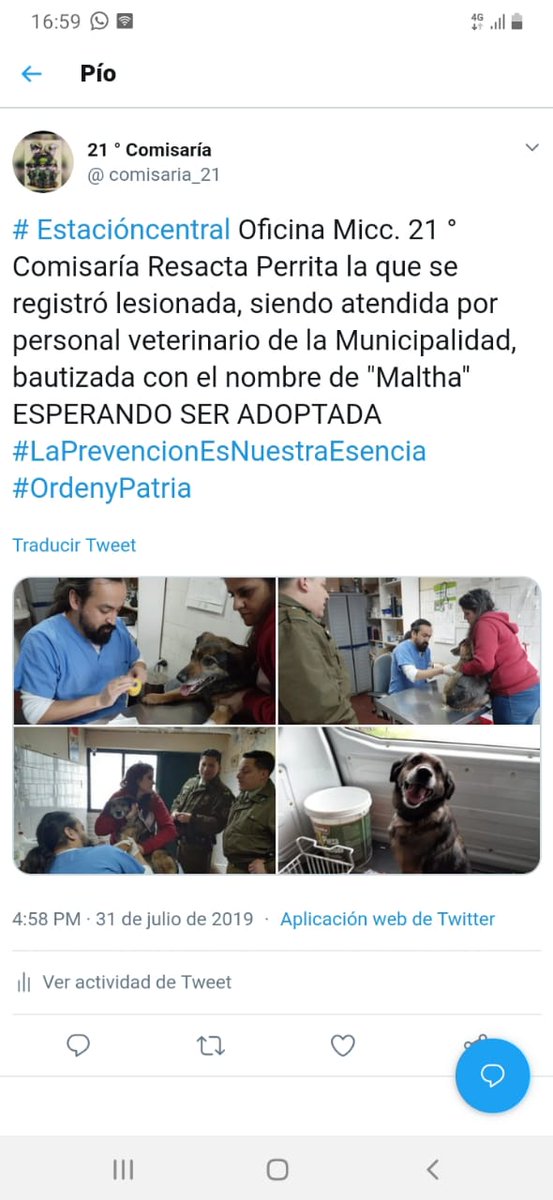 comisaria_21's tweet photo. #Estacióncentral Oficina Micc. 21° Comisaría traslada a perrita "Maltha" a su control veterinario, la que ESPERA SER ADOPTADA en Avda. Ecuador 4050 #LaPrevencionEsNuestraEsencia  #OrdenyPatria https://t.co/fXmcp2O6xK