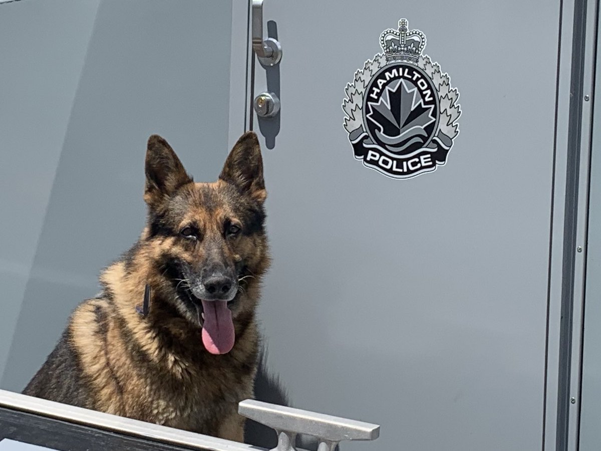 HPSCanine's tweet photo. He’ll take his ball but #PSDScout would also take an @HPSMarine boat ride! https://t.co/pphL3TUEPN