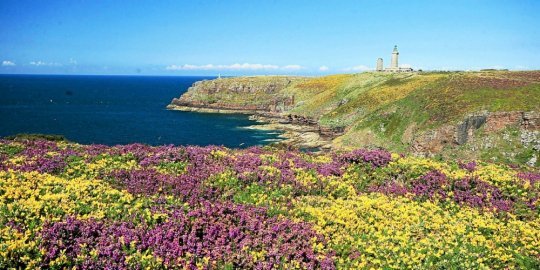 CarlaBZH's tweet photo. Que c'est beau ! 👍❤️❤️❤️😎🌞 #Erquy #Fréhel #MagnifiqueBretagne #MagnifiqueFrance https://t.co/v0V1G1C3qt