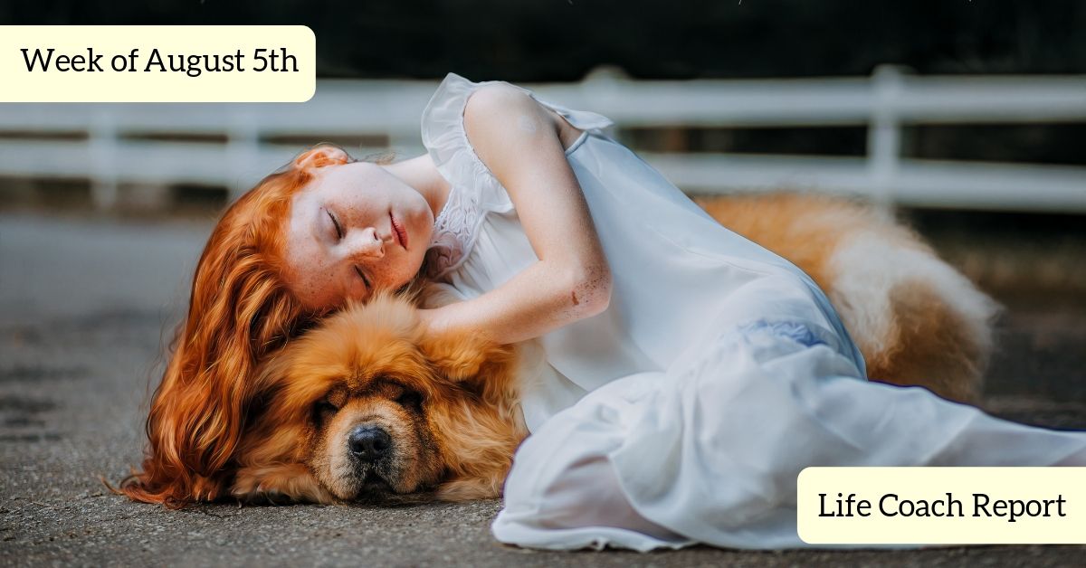 LifeCoachReport's tweet image. More Life Coaching links than you'll find anywhere else! Life Coach Report is hot off the press on hot summer day. BYOS... bring your own snacks! 🧐⛱🏄‍♀️☀️🍉🥙🥤
lifecoachreport.com/2019/08/life-c…