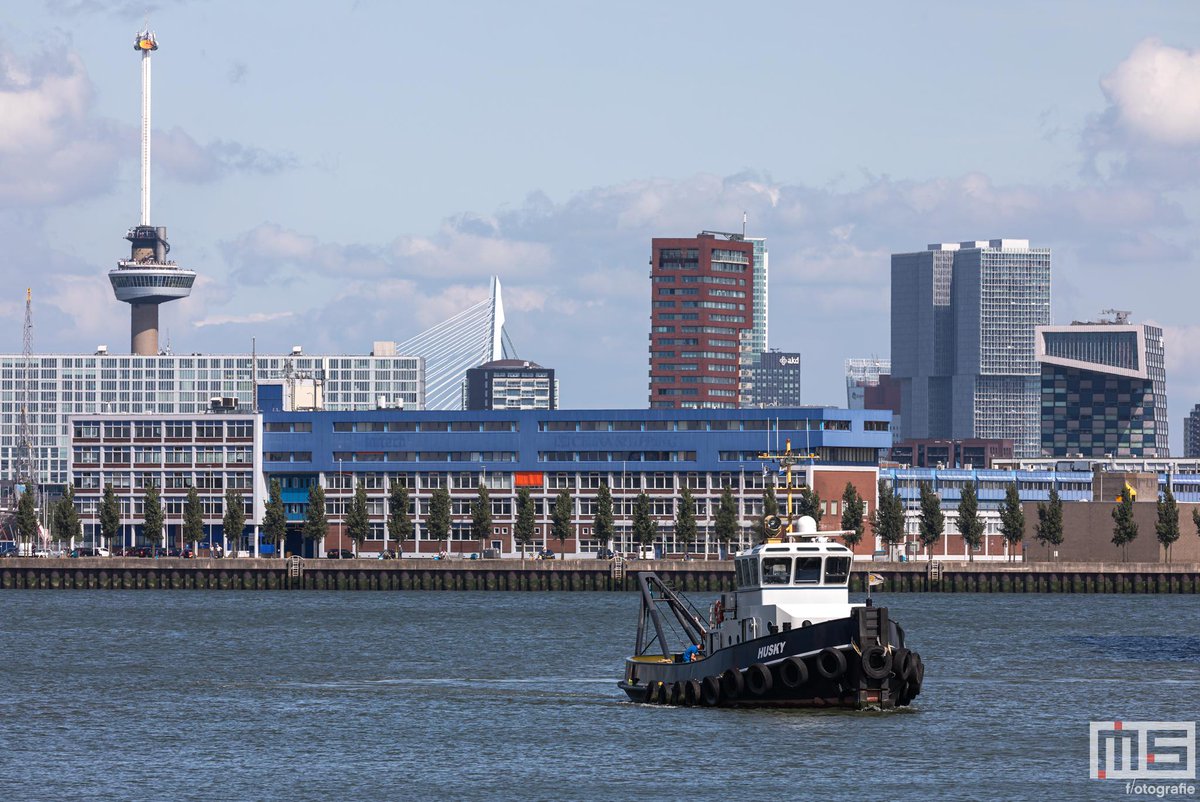Wie o wie weet waarom deze #sleepboot #husky heel de dag heen en weer vaart in de #waalhaven #dtv <a href="/De_Havenmeester/">Havenmeester R'dam</a> <a href="/HavenNieuwsRTM/">🄷🄰🅅🄴🄽🄵🄾🅃🄾🅂.🄽🄻</a> <a href="/PortOfRotterdam/">Port of Rotterdam Authority</a>  <a href="/HavenstadRadio/">Havenstad Radio</a> <a href="/HavenRotterdam/">Havenbedrijf R'dam</a> <a href="/Havenvereniging/">Havenvereniging Rdam</a> <a href="/WAALHAVENcntrs/">Waalhaven Group</a> Meer op: ms-fotografie.nl
